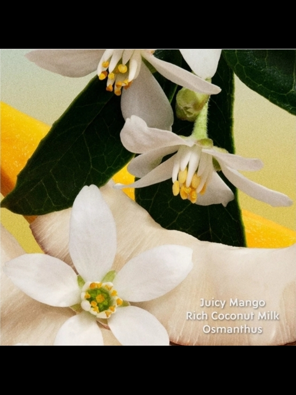 Miu Miu White Faceted Bottle with Pale Blue Cap and Gold Accent - Picture 3 of 5